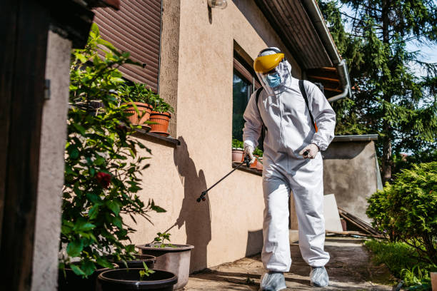 Best Affordable Pest Control Services  in Hutchinson Island South, FL